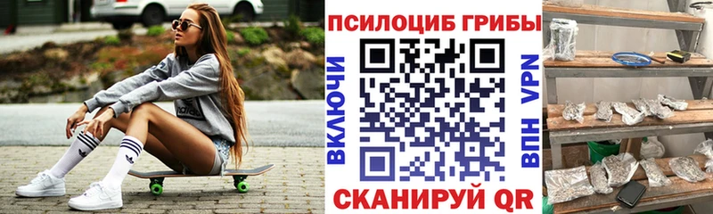 Купить  Зерноград  Галлюциногенные грибы Magic Shrooms 