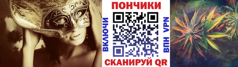 Купить  Зерноград  Бошки марихуана план 